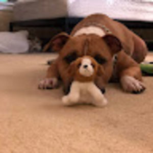 Meet your Posher, Ali